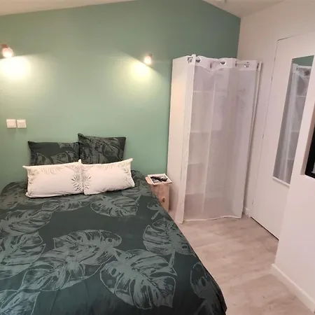 Home&work301 - Hypercentre - Fibre Et Parking A Proximite * Niort